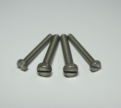 Titanium Slotted Cheese Head Screw
